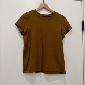 Set of 2 Madewell Short Sleeve Tee in Rich Brown & Olive Green